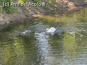 [P48] Parcul Sticlariei - cursa » foto by mishu
 - 
<span class="allrVoted glyphicon glyphicon-heart hidden" id="av1362037"></span>
<a class="m-l-10 hidden" id="sv1362037" onclick="voting_Foto_DelVot(,1362037,11447)" role="button">șterge vot <span class="glyphicon glyphicon-remove"></span></a>
<a id="v91362037" class=" c-red"  onclick="voting_Foto_SetVot(1362037)" role="button"><span class="glyphicon glyphicon-heart-empty"></span> <b>LIKE</b> = Votează poza</a> <img class="hidden"  id="f1362037W9" src="/imagini/loader.gif" border="0" /><span class="AjErrMes hidden" id="e1362037ErM"></span>