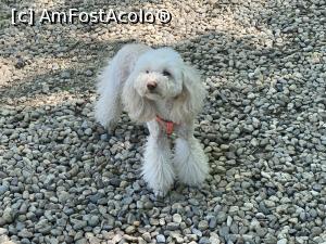 [P49] Parcul Sticlariei - unul dintre vizitatori » foto by mishu
 - 
<span class="allrVoted glyphicon glyphicon-heart hidden" id="av1362038"></span>
<a class="m-l-10 hidden" id="sv1362038" onclick="voting_Foto_DelVot(,1362038,11447)" role="button">șterge vot <span class="glyphicon glyphicon-remove"></span></a>
<a id="v91362038" class=" c-red"  onclick="voting_Foto_SetVot(1362038)" role="button"><span class="glyphicon glyphicon-heart-empty"></span> <b>LIKE</b> = Votează poza</a> <img class="hidden"  id="f1362038W9" src="/imagini/loader.gif" border="0" /><span class="AjErrMes hidden" id="e1362038ErM"></span>