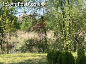 [P05] Parcul Sticlariei - si atufarisul de pe lac » foto by mishu
 - 
<span class="allrVoted glyphicon glyphicon-heart hidden" id="av1361994"></span>
<a class="m-l-10 hidden" id="sv1361994" onclick="voting_Foto_DelVot(,1361994,11447)" role="button">șterge vot <span class="glyphicon glyphicon-remove"></span></a>
<a id="v91361994" class=" c-red"  onclick="voting_Foto_SetVot(1361994)" role="button"><span class="glyphicon glyphicon-heart-empty"></span> <b>LIKE</b> = Votează poza</a> <img class="hidden"  id="f1361994W9" src="/imagini/loader.gif" border="0" /><span class="AjErrMes hidden" id="e1361994ErM"></span>