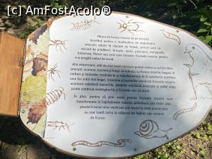 [P52] Parcul Sticlariei - informatii » foto by mishu
 - 
<span class="allrVoted glyphicon glyphicon-heart hidden" id="av1362041"></span>
<a class="m-l-10 hidden" id="sv1362041" onclick="voting_Foto_DelVot(,1362041,11447)" role="button">șterge vot <span class="glyphicon glyphicon-remove"></span></a>
<a id="v91362041" class=" c-red"  onclick="voting_Foto_SetVot(1362041)" role="button"><span class="glyphicon glyphicon-heart-empty"></span> <b>LIKE</b> = Votează poza</a> <img class="hidden"  id="f1362041W9" src="/imagini/loader.gif" border="0" /><span class="AjErrMes hidden" id="e1362041ErM"></span>