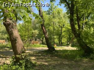 [P53] Parcul Sticlariei - natura in toata splendoarea ei » foto by mishu
 - 
<span class="allrVoted glyphicon glyphicon-heart hidden" id="av1362042"></span>
<a class="m-l-10 hidden" id="sv1362042" onclick="voting_Foto_DelVot(,1362042,11447)" role="button">șterge vot <span class="glyphicon glyphicon-remove"></span></a>
<a id="v91362042" class=" c-red"  onclick="voting_Foto_SetVot(1362042)" role="button"><span class="glyphicon glyphicon-heart-empty"></span> <b>LIKE</b> = Votează poza</a> <img class="hidden"  id="f1362042W9" src="/imagini/loader.gif" border="0" /><span class="AjErrMes hidden" id="e1362042ErM"></span>