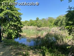 [P55] Parcul Sticlariei - natura in toata splendoarea ei » foto by mishu
 - 
<span class="allrVoted glyphicon glyphicon-heart hidden" id="av1362044"></span>
<a class="m-l-10 hidden" id="sv1362044" onclick="voting_Foto_DelVot(,1362044,11447)" role="button">șterge vot <span class="glyphicon glyphicon-remove"></span></a>
<a id="v91362044" class=" c-red"  onclick="voting_Foto_SetVot(1362044)" role="button"><span class="glyphicon glyphicon-heart-empty"></span> <b>LIKE</b> = Votează poza</a> <img class="hidden"  id="f1362044W9" src="/imagini/loader.gif" border="0" /><span class="AjErrMes hidden" id="e1362044ErM"></span>