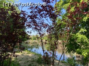 [P56] Parcul Sticlariei - natura in toata splendoarea ei » foto by mishu
 - 
<span class="allrVoted glyphicon glyphicon-heart hidden" id="av1362045"></span>
<a class="m-l-10 hidden" id="sv1362045" onclick="voting_Foto_DelVot(,1362045,11447)" role="button">șterge vot <span class="glyphicon glyphicon-remove"></span></a>
<a id="v91362045" class=" c-red"  onclick="voting_Foto_SetVot(1362045)" role="button"><span class="glyphicon glyphicon-heart-empty"></span> <b>LIKE</b> = Votează poza</a> <img class="hidden"  id="f1362045W9" src="/imagini/loader.gif" border="0" /><span class="AjErrMes hidden" id="e1362045ErM"></span>