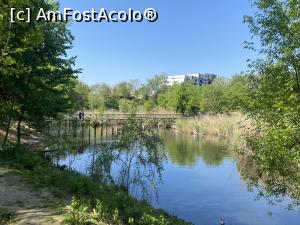 [P57] Parcul Sticlariei - natura in toata splendoarea ei » foto by mishu
 - 
<span class="allrVoted glyphicon glyphicon-heart hidden" id="av1362046"></span>
<a class="m-l-10 hidden" id="sv1362046" onclick="voting_Foto_DelVot(,1362046,11447)" role="button">șterge vot <span class="glyphicon glyphicon-remove"></span></a>
<a id="v91362046" class=" c-red"  onclick="voting_Foto_SetVot(1362046)" role="button"><span class="glyphicon glyphicon-heart-empty"></span> <b>LIKE</b> = Votează poza</a> <img class="hidden"  id="f1362046W9" src="/imagini/loader.gif" border="0" /><span class="AjErrMes hidden" id="e1362046ErM"></span>