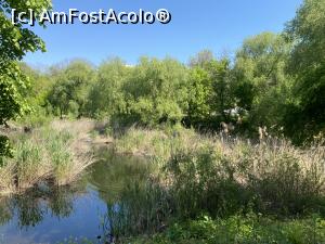 [P58] Parcul Sticlariei - natura in toata splendoarea ei » foto by mishu
 - 
<span class="allrVoted glyphicon glyphicon-heart hidden" id="av1362047"></span>
<a class="m-l-10 hidden" id="sv1362047" onclick="voting_Foto_DelVot(,1362047,11447)" role="button">șterge vot <span class="glyphicon glyphicon-remove"></span></a>
<a id="v91362047" class=" c-red"  onclick="voting_Foto_SetVot(1362047)" role="button"><span class="glyphicon glyphicon-heart-empty"></span> <b>LIKE</b> = Votează poza</a> <img class="hidden"  id="f1362047W9" src="/imagini/loader.gif" border="0" /><span class="AjErrMes hidden" id="e1362047ErM"></span>