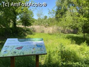 [P59] Parcul Sticlariei - natura in toata splendoarea ei » foto by mishu
 - 
<span class="allrVoted glyphicon glyphicon-heart hidden" id="av1362048"></span>
<a class="m-l-10 hidden" id="sv1362048" onclick="voting_Foto_DelVot(,1362048,11447)" role="button">șterge vot <span class="glyphicon glyphicon-remove"></span></a>
<a id="v91362048" class=" c-red"  onclick="voting_Foto_SetVot(1362048)" role="button"><span class="glyphicon glyphicon-heart-empty"></span> <b>LIKE</b> = Votează poza</a> <img class="hidden"  id="f1362048W9" src="/imagini/loader.gif" border="0" /><span class="AjErrMes hidden" id="e1362048ErM"></span>