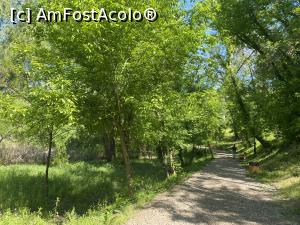 [P60] Parcul Sticlariei - natura in toata splendoarea ei » foto by mishu
 - 
<span class="allrVoted glyphicon glyphicon-heart hidden" id="av1362049"></span>
<a class="m-l-10 hidden" id="sv1362049" onclick="voting_Foto_DelVot(,1362049,11447)" role="button">șterge vot <span class="glyphicon glyphicon-remove"></span></a>
<a id="v91362049" class=" c-red"  onclick="voting_Foto_SetVot(1362049)" role="button"><span class="glyphicon glyphicon-heart-empty"></span> <b>LIKE</b> = Votează poza</a> <img class="hidden"  id="f1362049W9" src="/imagini/loader.gif" border="0" /><span class="AjErrMes hidden" id="e1362049ErM"></span>