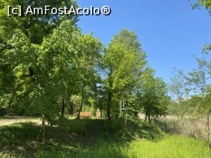 [P61] Parcul Sticlariei - natura in toata splendoarea ei » foto by mishu
 - 
<span class="allrVoted glyphicon glyphicon-heart hidden" id="av1362050"></span>
<a class="m-l-10 hidden" id="sv1362050" onclick="voting_Foto_DelVot(,1362050,11447)" role="button">șterge vot <span class="glyphicon glyphicon-remove"></span></a>
<a id="v91362050" class=" c-red"  onclick="voting_Foto_SetVot(1362050)" role="button"><span class="glyphicon glyphicon-heart-empty"></span> <b>LIKE</b> = Votează poza</a> <img class="hidden"  id="f1362050W9" src="/imagini/loader.gif" border="0" /><span class="AjErrMes hidden" id="e1362050ErM"></span>