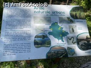 [P62] Parcul Sticlariei - informatii si ne luam la revedere » foto by mishu
 - 
<span class="allrVoted glyphicon glyphicon-heart hidden" id="av1362051"></span>
<a class="m-l-10 hidden" id="sv1362051" onclick="voting_Foto_DelVot(,1362051,11447)" role="button">șterge vot <span class="glyphicon glyphicon-remove"></span></a>
<a id="v91362051" class=" c-red"  onclick="voting_Foto_SetVot(1362051)" role="button"><span class="glyphicon glyphicon-heart-empty"></span> <b>LIKE</b> = Votează poza</a> <img class="hidden"  id="f1362051W9" src="/imagini/loader.gif" border="0" /><span class="AjErrMes hidden" id="e1362051ErM"></span>