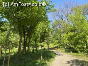 [P08] Parcul Sticlariei - natura in toata splendoarea ei » foto by mishu
 - 
<span class="allrVoted glyphicon glyphicon-heart hidden" id="av1361997"></span>
<a class="m-l-10 hidden" id="sv1361997" onclick="voting_Foto_DelVot(,1361997,11447)" role="button">șterge vot <span class="glyphicon glyphicon-remove"></span></a>
<a id="v91361997" class=" c-red"  onclick="voting_Foto_SetVot(1361997)" role="button"><span class="glyphicon glyphicon-heart-empty"></span> <b>LIKE</b> = Votează poza</a> <img class="hidden"  id="f1361997W9" src="/imagini/loader.gif" border="0" /><span class="AjErrMes hidden" id="e1361997ErM"></span>