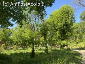 [P09] Parcul Sticlariei - natura in toata splendoarea ei » foto by mishu
 - 
<span class="allrVoted glyphicon glyphicon-heart hidden" id="av1361998"></span>
<a class="m-l-10 hidden" id="sv1361998" onclick="voting_Foto_DelVot(,1361998,11447)" role="button">șterge vot <span class="glyphicon glyphicon-remove"></span></a>
<a id="v91361998" class=" c-red"  onclick="voting_Foto_SetVot(1361998)" role="button"><span class="glyphicon glyphicon-heart-empty"></span> <b>LIKE</b> = Votează poza</a> <img class="hidden"  id="f1361998W9" src="/imagini/loader.gif" border="0" /><span class="AjErrMes hidden" id="e1361998ErM"></span>