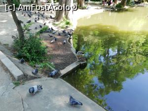 [P24]  -- <small>// FĂRĂ DESCRIERE</small> » foto by ⭐ValentinB_88⭐
 - 
<span class="allrVoted glyphicon glyphicon-heart hidden" id="av1328343"></span>
<a class="m-l-10 hidden" id="sv1328343" onclick="voting_Foto_DelVot(,1328343,11447)" role="button">șterge vot <span class="glyphicon glyphicon-remove"></span></a>
<a id="v91328343" class=" c-red"  onclick="voting_Foto_SetVot(1328343)" role="button"><span class="glyphicon glyphicon-heart-empty"></span> <b>LIKE</b> = Votează poza</a> <img class="hidden"  id="f1328343W9" src="/imagini/loader.gif" border="0" /><span class="AjErrMes hidden" id="e1328343ErM"></span>