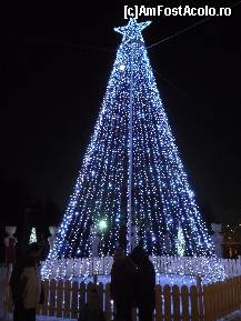 [P46] Parcul A.I.Cuza - Bradul de pe faleza lacului. » foto by Horia
 - 
<span class="allrVoted glyphicon glyphicon-heart hidden" id="av173651"></span>
<a class="m-l-10 hidden" id="sv173651" onclick="voting_Foto_DelVot(,173651,11447)" role="button">șterge vot <span class="glyphicon glyphicon-remove"></span></a>
<a id="v9173651" class=" c-red"  onclick="voting_Foto_SetVot(173651)" role="button"><span class="glyphicon glyphicon-heart-empty"></span> <b>LIKE</b> = Votează poza</a> <img class="hidden"  id="f173651W9" src="/imagini/loader.gif" border="0" /><span class="AjErrMes hidden" id="e173651ErM"></span>