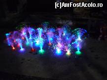 [P48] Parcul A.I.Cuza - Jucarii luminoase pentru copii si nu numai. » foto by Horia
 - 
<span class="allrVoted glyphicon glyphicon-heart hidden" id="av173659"></span>
<a class="m-l-10 hidden" id="sv173659" onclick="voting_Foto_DelVot(,173659,11447)" role="button">șterge vot <span class="glyphicon glyphicon-remove"></span></a>
<a id="v9173659" class=" c-red"  onclick="voting_Foto_SetVot(173659)" role="button"><span class="glyphicon glyphicon-heart-empty"></span> <b>LIKE</b> = Votează poza</a> <img class="hidden"  id="f173659W9" src="/imagini/loader.gif" border="0" /><span class="AjErrMes hidden" id="e173659ErM"></span>