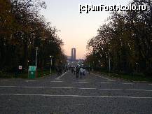 [P01] Aleea Centrala a Parcului Carol. » foto by ninaa
 - 
<span class="allrVoted glyphicon glyphicon-heart hidden" id="av158565"></span>
<a class="m-l-10 hidden" id="sv158565" onclick="voting_Foto_DelVot(,158565,11447)" role="button">șterge vot <span class="glyphicon glyphicon-remove"></span></a>
<a id="v9158565" class=" c-red"  onclick="voting_Foto_SetVot(158565)" role="button"><span class="glyphicon glyphicon-heart-empty"></span> <b>LIKE</b> = Votează poza</a> <img class="hidden"  id="f158565W9" src="/imagini/loader.gif" border="0" /><span class="AjErrMes hidden" id="e158565ErM"></span>