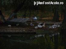 [P26] Gastele si iepurasii restaurantului. » foto by ninaa
 - 
<span class="allrVoted glyphicon glyphicon-heart hidden" id="av158593"></span>
<a class="m-l-10 hidden" id="sv158593" onclick="voting_Foto_DelVot(,158593,11447)" role="button">șterge vot <span class="glyphicon glyphicon-remove"></span></a>
<a id="v9158593" class=" c-red"  onclick="voting_Foto_SetVot(158593)" role="button"><span class="glyphicon glyphicon-heart-empty"></span> <b>LIKE</b> = Votează poza</a> <img class="hidden"  id="f158593W9" src="/imagini/loader.gif" border="0" /><span class="AjErrMes hidden" id="e158593ErM"></span>