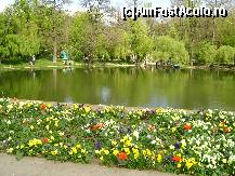 [P33] Salciile plangatoare deasupra lacului din Parcul Carol. » foto by ninaa
 - 
<span class="allrVoted glyphicon glyphicon-heart hidden" id="av158603"></span>
<a class="m-l-10 hidden" id="sv158603" onclick="voting_Foto_DelVot(,158603,11447)" role="button">șterge vot <span class="glyphicon glyphicon-remove"></span></a>
<a id="v9158603" class=" c-red"  onclick="voting_Foto_SetVot(158603)" role="button"><span class="glyphicon glyphicon-heart-empty"></span> <b>LIKE</b> = Votează poza</a> <img class="hidden"  id="f158603W9" src="/imagini/loader.gif" border="0" /><span class="AjErrMes hidden" id="e158603ErM"></span>