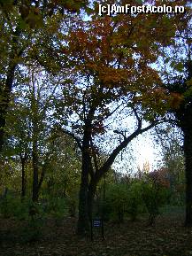 [P07] Colt de parc cu explicatii despre copaci. » foto by ninaa
 - 
<span class="allrVoted glyphicon glyphicon-heart hidden" id="av158571"></span>
<a class="m-l-10 hidden" id="sv158571" onclick="voting_Foto_DelVot(,158571,11447)" role="button">șterge vot <span class="glyphicon glyphicon-remove"></span></a>
<a id="v9158571" class=" c-red"  onclick="voting_Foto_SetVot(158571)" role="button"><span class="glyphicon glyphicon-heart-empty"></span> <b>LIKE</b> = Votează poza</a> <img class="hidden"  id="f158571W9" src="/imagini/loader.gif" border="0" /><span class="AjErrMes hidden" id="e158571ErM"></span>