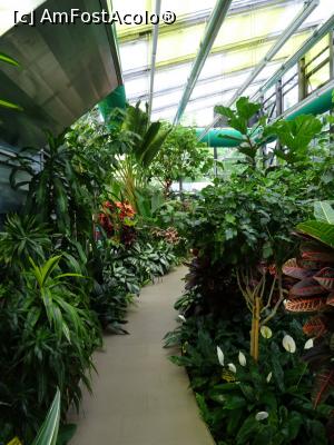 [P10] Plimbare prin sere. » foto by tata123 🔱
 - 
<span class="allrVoted glyphicon glyphicon-heart hidden" id="av1303754"></span>
<a class="m-l-10 hidden" id="sv1303754" onclick="voting_Foto_DelVot(,1303754,11447)" role="button">șterge vot <span class="glyphicon glyphicon-remove"></span></a>
<a id="v91303754" class=" c-red"  onclick="voting_Foto_SetVot(1303754)" role="button"><span class="glyphicon glyphicon-heart-empty"></span> <b>LIKE</b> = Votează poza</a> <img class="hidden"  id="f1303754W9" src="/imagini/loader.gif" border="0" /><span class="AjErrMes hidden" id="e1303754ErM"></span>