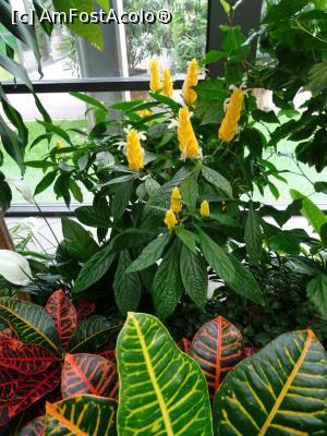 [P11] Plimbare prin sere. » foto by tata123 🔱
 - 
<span class="allrVoted glyphicon glyphicon-heart hidden" id="av1303755"></span>
<a class="m-l-10 hidden" id="sv1303755" onclick="voting_Foto_DelVot(,1303755,11447)" role="button">șterge vot <span class="glyphicon glyphicon-remove"></span></a>
<a id="v91303755" class=" c-red"  onclick="voting_Foto_SetVot(1303755)" role="button"><span class="glyphicon glyphicon-heart-empty"></span> <b>LIKE</b> = Votează poza</a> <img class="hidden"  id="f1303755W9" src="/imagini/loader.gif" border="0" /><span class="AjErrMes hidden" id="e1303755ErM"></span>