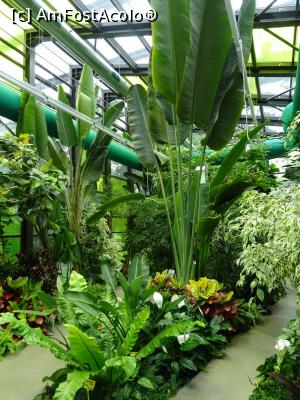 [P14] Plimbare prin sere. » foto by tata123 🔱
 - 
<span class="allrVoted glyphicon glyphicon-heart hidden" id="av1303758"></span>
<a class="m-l-10 hidden" id="sv1303758" onclick="voting_Foto_DelVot(,1303758,11447)" role="button">șterge vot <span class="glyphicon glyphicon-remove"></span></a>
<a id="v91303758" class=" c-red"  onclick="voting_Foto_SetVot(1303758)" role="button"><span class="glyphicon glyphicon-heart-empty"></span> <b>LIKE</b> = Votează poza</a> <img class="hidden"  id="f1303758W9" src="/imagini/loader.gif" border="0" /><span class="AjErrMes hidden" id="e1303758ErM"></span>