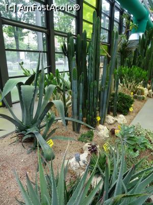 [P15] Plimbare prin sere. » foto by tata123 🔱
 - 
<span class="allrVoted glyphicon glyphicon-heart hidden" id="av1303759"></span>
<a class="m-l-10 hidden" id="sv1303759" onclick="voting_Foto_DelVot(,1303759,11447)" role="button">șterge vot <span class="glyphicon glyphicon-remove"></span></a>
<a id="v91303759" class=" c-red"  onclick="voting_Foto_SetVot(1303759)" role="button"><span class="glyphicon glyphicon-heart-empty"></span> <b>LIKE</b> = Votează poza</a> <img class="hidden"  id="f1303759W9" src="/imagini/loader.gif" border="0" /><span class="AjErrMes hidden" id="e1303759ErM"></span>