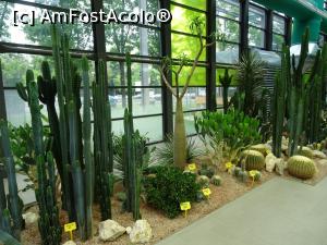 [P17] Plimbare prin sere. » foto by tata123 🔱
 - 
<span class="allrVoted glyphicon glyphicon-heart hidden" id="av1303761"></span>
<a class="m-l-10 hidden" id="sv1303761" onclick="voting_Foto_DelVot(,1303761,11447)" role="button">șterge vot <span class="glyphicon glyphicon-remove"></span></a>
<a id="v91303761" class=" c-red"  onclick="voting_Foto_SetVot(1303761)" role="button"><span class="glyphicon glyphicon-heart-empty"></span> <b>LIKE</b> = Votează poza</a> <img class="hidden"  id="f1303761W9" src="/imagini/loader.gif" border="0" /><span class="AjErrMes hidden" id="e1303761ErM"></span>