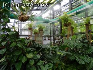 [P19] Plimbare prin sere. » foto by tata123 🔱
 - 
<span class="allrVoted glyphicon glyphicon-heart hidden" id="av1303763"></span>
<a class="m-l-10 hidden" id="sv1303763" onclick="voting_Foto_DelVot(,1303763,11447)" role="button">șterge vot <span class="glyphicon glyphicon-remove"></span></a>
<a id="v91303763" class=" c-red"  onclick="voting_Foto_SetVot(1303763)" role="button"><span class="glyphicon glyphicon-heart-empty"></span> <b>LIKE</b> = Votează poza</a> <img class="hidden"  id="f1303763W9" src="/imagini/loader.gif" border="0" /><span class="AjErrMes hidden" id="e1303763ErM"></span>