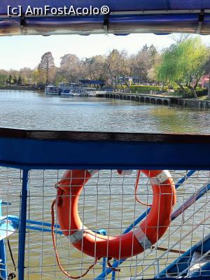 [P18] Plutind pe lac... » foto by tata123 🔱
 - 
<span class="allrVoted glyphicon glyphicon-heart hidden" id="av1358754"></span>
<a class="m-l-10 hidden" id="sv1358754" onclick="voting_Foto_DelVot(,1358754,11447)" role="button">șterge vot <span class="glyphicon glyphicon-remove"></span></a>
<a id="v91358754" class=" c-red"  onclick="voting_Foto_SetVot(1358754)" role="button"><span class="glyphicon glyphicon-heart-empty"></span> <b>LIKE</b> = Votează poza</a> <img class="hidden"  id="f1358754W9" src="/imagini/loader.gif" border="0" /><span class="AjErrMes hidden" id="e1358754ErM"></span>