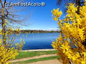 [P05] &bdquo;Aripi de pescăruș&rdquo; pe lac. » foto by tata123 🔱
 - 
<span class="allrVoted glyphicon glyphicon-heart hidden" id="av1358741"></span>
<a class="m-l-10 hidden" id="sv1358741" onclick="voting_Foto_DelVot(,1358741,11447)" role="button">șterge vot <span class="glyphicon glyphicon-remove"></span></a>
<a id="v91358741" class=" c-red"  onclick="voting_Foto_SetVot(1358741)" role="button"><span class="glyphicon glyphicon-heart-empty"></span> <b>LIKE</b> = Votează poza</a> <img class="hidden"  id="f1358741W9" src="/imagini/loader.gif" border="0" /><span class="AjErrMes hidden" id="e1358741ErM"></span>