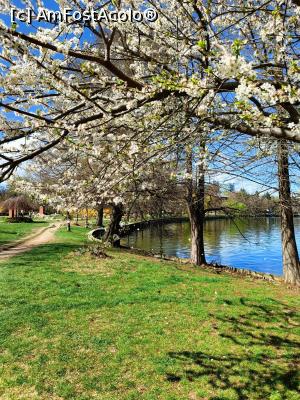 [P06] Prin Herăstrău, primăvara.... » foto by tata123 🔱
 - 
<span class="allrVoted glyphicon glyphicon-heart hidden" id="av1358742"></span>
<a class="m-l-10 hidden" id="sv1358742" onclick="voting_Foto_DelVot(,1358742,11447)" role="button">șterge vot <span class="glyphicon glyphicon-remove"></span></a>
<a id="v91358742" class=" c-red"  onclick="voting_Foto_SetVot(1358742)" role="button"><span class="glyphicon glyphicon-heart-empty"></span> <b>LIKE</b> = Votează poza</a> <img class="hidden"  id="f1358742W9" src="/imagini/loader.gif" border="0" /><span class="AjErrMes hidden" id="e1358742ErM"></span>