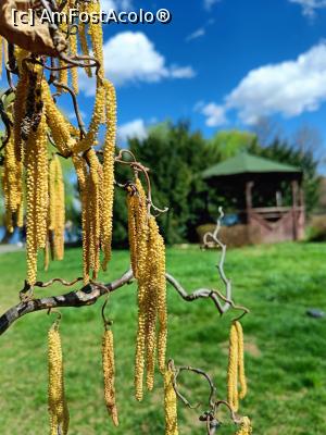 [P07] Prin Herăstrău, primăvara.... » foto by tata123 🔱
 - 
<span class="allrVoted glyphicon glyphicon-heart hidden" id="av1358743"></span>
<a class="m-l-10 hidden" id="sv1358743" onclick="voting_Foto_DelVot(,1358743,11447)" role="button">șterge vot <span class="glyphicon glyphicon-remove"></span></a>
<a id="v91358743" class=" c-red"  onclick="voting_Foto_SetVot(1358743)" role="button"><span class="glyphicon glyphicon-heart-empty"></span> <b>LIKE</b> = Votează poza</a> <img class="hidden"  id="f1358743W9" src="/imagini/loader.gif" border="0" /><span class="AjErrMes hidden" id="e1358743ErM"></span>