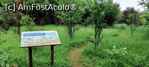 [P12] Început de pajiște. » foto by tata123 🔱
 - 
<span class="allrVoted glyphicon glyphicon-heart hidden" id="av1428909"></span>
<a class="m-l-10 hidden" id="sv1428909" onclick="voting_Foto_DelVot(,1428909,11447)" role="button">șterge vot <span class="glyphicon glyphicon-remove"></span></a>
<a id="v91428909" class=" c-red"  onclick="voting_Foto_SetVot(1428909)" role="button"><span class="glyphicon glyphicon-heart-empty"></span> <b>LIKE</b> = Votează poza</a> <img class="hidden"  id="f1428909W9" src="/imagini/loader.gif" border="0" /><span class="AjErrMes hidden" id="e1428909ErM"></span>