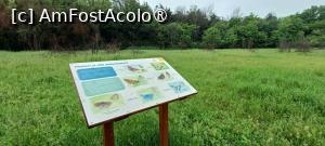 [P18] Informații despre natură și faună. » foto by tata123 🔱
 - 
<span class="allrVoted glyphicon glyphicon-heart hidden" id="av1428915"></span>
<a class="m-l-10 hidden" id="sv1428915" onclick="voting_Foto_DelVot(,1428915,11447)" role="button">șterge vot <span class="glyphicon glyphicon-remove"></span></a>
<a id="v91428915" class=" c-red"  onclick="voting_Foto_SetVot(1428915)" role="button"><span class="glyphicon glyphicon-heart-empty"></span> <b>LIKE</b> = Votează poza</a> <img class="hidden"  id="f1428915W9" src="/imagini/loader.gif" border="0" /><span class="AjErrMes hidden" id="e1428915ErM"></span>