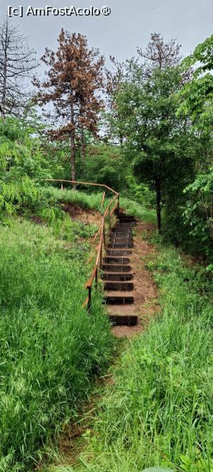 [P24] Acces spre punctul de belvedere. » foto by tata123 🔱
 - 
<span class="allrVoted glyphicon glyphicon-heart hidden" id="av1428921"></span>
<a class="m-l-10 hidden" id="sv1428921" onclick="voting_Foto_DelVot(,1428921,11447)" role="button">șterge vot <span class="glyphicon glyphicon-remove"></span></a>
<a id="v91428921" class=" c-red"  onclick="voting_Foto_SetVot(1428921)" role="button"><span class="glyphicon glyphicon-heart-empty"></span> <b>LIKE</b> = Votează poza</a> <img class="hidden"  id="f1428921W9" src="/imagini/loader.gif" border="0" /><span class="AjErrMes hidden" id="e1428921ErM"></span>