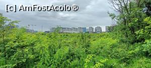 [P30] Vedere spre cartierul Pipera. » foto by tata123 🔱
 - 
<span class="allrVoted glyphicon glyphicon-heart hidden" id="av1428927"></span>
<a class="m-l-10 hidden" id="sv1428927" onclick="voting_Foto_DelVot(,1428927,11447)" role="button">șterge vot <span class="glyphicon glyphicon-remove"></span></a>
<a id="v91428927" class=" c-red"  onclick="voting_Foto_SetVot(1428927)" role="button"><span class="glyphicon glyphicon-heart-empty"></span> <b>LIKE</b> = Votează poza</a> <img class="hidden"  id="f1428927W9" src="/imagini/loader.gif" border="0" /><span class="AjErrMes hidden" id="e1428927ErM"></span>