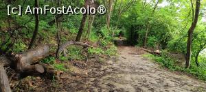 [P04] Zona de pădure. » foto by tata123 🔱
 - 
<span class="allrVoted glyphicon glyphicon-heart hidden" id="av1428901"></span>
<a class="m-l-10 hidden" id="sv1428901" onclick="voting_Foto_DelVot(,1428901,11447)" role="button">șterge vot <span class="glyphicon glyphicon-remove"></span></a>
<a id="v91428901" class=" c-red"  onclick="voting_Foto_SetVot(1428901)" role="button"><span class="glyphicon glyphicon-heart-empty"></span> <b>LIKE</b> = Votează poza</a> <img class="hidden"  id="f1428901W9" src="/imagini/loader.gif" border="0" /><span class="AjErrMes hidden" id="e1428901ErM"></span>