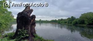 [P05] „Ascunzătoarea piraților”. » foto by tata123 🔱
 - 
<span class="allrVoted glyphicon glyphicon-heart hidden" id="av1428902"></span>
<a class="m-l-10 hidden" id="sv1428902" onclick="voting_Foto_DelVot(,1428902,11447)" role="button">șterge vot <span class="glyphicon glyphicon-remove"></span></a>
<a id="v91428902" class=" c-red"  onclick="voting_Foto_SetVot(1428902)" role="button"><span class="glyphicon glyphicon-heart-empty"></span> <b>LIKE</b> = Votează poza</a> <img class="hidden"  id="f1428902W9" src="/imagini/loader.gif" border="0" /><span class="AjErrMes hidden" id="e1428902ErM"></span>