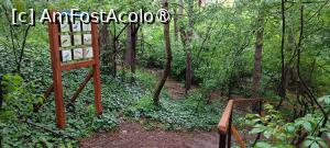 [P07] Panou tematic - cuburi cu text și imagine. » foto by tata123 🔱
 - 
<span class="allrVoted glyphicon glyphicon-heart hidden" id="av1428904"></span>
<a class="m-l-10 hidden" id="sv1428904" onclick="voting_Foto_DelVot(,1428904,11447)" role="button">șterge vot <span class="glyphicon glyphicon-remove"></span></a>
<a id="v91428904" class=" c-red"  onclick="voting_Foto_SetVot(1428904)" role="button"><span class="glyphicon glyphicon-heart-empty"></span> <b>LIKE</b> = Votează poza</a> <img class="hidden"  id="f1428904W9" src="/imagini/loader.gif" border="0" /><span class="AjErrMes hidden" id="e1428904ErM"></span>