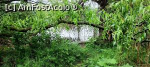 [P08] Zonă lacustră. » foto by tata123 🔱
 - 
<span class="allrVoted glyphicon glyphicon-heart hidden" id="av1428905"></span>
<a class="m-l-10 hidden" id="sv1428905" onclick="voting_Foto_DelVot(,1428905,11447)" role="button">șterge vot <span class="glyphicon glyphicon-remove"></span></a>
<a id="v91428905" class=" c-red"  onclick="voting_Foto_SetVot(1428905)" role="button"><span class="glyphicon glyphicon-heart-empty"></span> <b>LIKE</b> = Votează poza</a> <img class="hidden"  id="f1428905W9" src="/imagini/loader.gif" border="0" /><span class="AjErrMes hidden" id="e1428905ErM"></span>