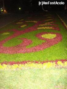 [P17] Covor de flori colorate si iarba » foto by Simonaaa*
 - 
<span class="allrVoted glyphicon glyphicon-heart hidden" id="av127765"></span>
<a class="m-l-10 hidden" id="sv127765" onclick="voting_Foto_DelVot(,127765,11447)" role="button">șterge vot <span class="glyphicon glyphicon-remove"></span></a>
<a id="v9127765" class=" c-red"  onclick="voting_Foto_SetVot(127765)" role="button"><span class="glyphicon glyphicon-heart-empty"></span> <b>LIKE</b> = Votează poza</a> <img class="hidden"  id="f127765W9" src="/imagini/loader.gif" border="0" /><span class="AjErrMes hidden" id="e127765ErM"></span>