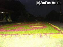 [P18] Covor de flori in Parcul Herastrau » foto by Simonaaa*
 - 
<span class="allrVoted glyphicon glyphicon-heart hidden" id="av127766"></span>
<a class="m-l-10 hidden" id="sv127766" onclick="voting_Foto_DelVot(,127766,11447)" role="button">șterge vot <span class="glyphicon glyphicon-remove"></span></a>
<a id="v9127766" class=" c-red"  onclick="voting_Foto_SetVot(127766)" role="button"><span class="glyphicon glyphicon-heart-empty"></span> <b>LIKE</b> = Votează poza</a> <img class="hidden"  id="f127766W9" src="/imagini/loader.gif" border="0" /><span class="AjErrMes hidden" id="e127766ErM"></span>