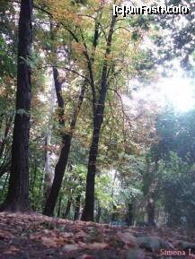 [P19] Copacii vestesc venirea toamnei » foto by Simonaaa*
 - 
<span class="allrVoted glyphicon glyphicon-heart hidden" id="av127767"></span>
<a class="m-l-10 hidden" id="sv127767" onclick="voting_Foto_DelVot(,127767,11447)" role="button">șterge vot <span class="glyphicon glyphicon-remove"></span></a>
<a id="v9127767" class=" c-red"  onclick="voting_Foto_SetVot(127767)" role="button"><span class="glyphicon glyphicon-heart-empty"></span> <b>LIKE</b> = Votează poza</a> <img class="hidden"  id="f127767W9" src="/imagini/loader.gif" border="0" /><span class="AjErrMes hidden" id="e127767ErM"></span>