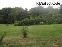 [P04] Probabil unul dintre cele mai verzi parcuri. In acel loc vin cateodata oameni care fac yoga » foto by Simonaaa*
 - 
<span class="allrVoted glyphicon glyphicon-heart hidden" id="av127748"></span>
<a class="m-l-10 hidden" id="sv127748" onclick="voting_Foto_DelVot(,127748,11447)" role="button">șterge vot <span class="glyphicon glyphicon-remove"></span></a>
<a id="v9127748" class=" c-red"  onclick="voting_Foto_SetVot(127748)" role="button"><span class="glyphicon glyphicon-heart-empty"></span> <b>LIKE</b> = Votează poza</a> <img class="hidden"  id="f127748W9" src="/imagini/loader.gif" border="0" /><span class="AjErrMes hidden" id="e127748ErM"></span>