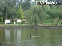 [P10] O parte a parcului vazuta de pe insulita » foto by Simonaaa*
 - 
<span class="allrVoted glyphicon glyphicon-heart hidden" id="av125006"></span>
<a class="m-l-10 hidden" id="sv125006" onclick="voting_Foto_DelVot(,125006,11447)" role="button">șterge vot <span class="glyphicon glyphicon-remove"></span></a>
<a id="v9125006" class=" c-red"  onclick="voting_Foto_SetVot(125006)" role="button"><span class="glyphicon glyphicon-heart-empty"></span> <b>LIKE</b> = Votează poza</a> <img class="hidden"  id="f125006W9" src="/imagini/loader.gif" border="0" /><span class="AjErrMes hidden" id="e125006ErM"></span>