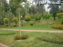 [P18] Un colt de verdeata intr-o zi mohorata » foto by Simonaaa*
 - 
<span class="allrVoted glyphicon glyphicon-heart hidden" id="av125014"></span>
<a class="m-l-10 hidden" id="sv125014" onclick="voting_Foto_DelVot(,125014,11447)" role="button">șterge vot <span class="glyphicon glyphicon-remove"></span></a>
<a id="v9125014" class=" c-red"  onclick="voting_Foto_SetVot(125014)" role="button"><span class="glyphicon glyphicon-heart-empty"></span> <b>LIKE</b> = Votează poza</a> <img class="hidden"  id="f125014W9" src="/imagini/loader.gif" border="0" /><span class="AjErrMes hidden" id="e125014ErM"></span>