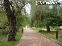 [P22] Ziua ploioasa a alungat orice urma de om din parc » foto by Simonaaa*
 - 
<span class="allrVoted glyphicon glyphicon-heart hidden" id="av125018"></span>
<a class="m-l-10 hidden" id="sv125018" onclick="voting_Foto_DelVot(,125018,11447)" role="button">șterge vot <span class="glyphicon glyphicon-remove"></span></a>
<a id="v9125018" class=" c-red"  onclick="voting_Foto_SetVot(125018)" role="button"><span class="glyphicon glyphicon-heart-empty"></span> <b>LIKE</b> = Votează poza</a> <img class="hidden"  id="f125018W9" src="/imagini/loader.gif" border="0" /><span class="AjErrMes hidden" id="e125018ErM"></span>