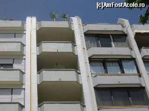 [P13] Doi palmieri pe acoperis?!?!?! Interesant!  » foto by bica adriana
 - 
<span class="allrVoted glyphicon glyphicon-heart hidden" id="av513640"></span>
<a class="m-l-10 hidden" id="sv513640" onclick="voting_Foto_DelVot(,513640,11454)" role="button">șterge vot <span class="glyphicon glyphicon-remove"></span></a>
<a id="v9513640" class=" c-red"  onclick="voting_Foto_SetVot(513640)" role="button"><span class="glyphicon glyphicon-heart-empty"></span> <b>LIKE</b> = Votează poza</a> <img class="hidden"  id="f513640W9" src="/imagini/loader.gif" border="0" /><span class="AjErrMes hidden" id="e513640ErM"></span>