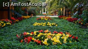 [P12] Gradina de palmieri » foto by GIN2015*
 - 
<span class="allrVoted glyphicon glyphicon-heart hidden" id="av810077"></span>
<a class="m-l-10 hidden" id="sv810077" onclick="voting_Foto_DelVot(,810077,11476)" role="button">șterge vot <span class="glyphicon glyphicon-remove"></span></a>
<a id="v9810077" class=" c-red"  onclick="voting_Foto_SetVot(810077)" role="button"><span class="glyphicon glyphicon-heart-empty"></span> <b>LIKE</b> = Votează poza</a> <img class="hidden"  id="f810077W9" src="/imagini/loader.gif" border="0" /><span class="AjErrMes hidden" id="e810077ErM"></span>