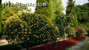 [P08] Gradina de palmieri » foto by GIN2015*
 - 
<span class="allrVoted glyphicon glyphicon-heart hidden" id="av810062"></span>
<a class="m-l-10 hidden" id="sv810062" onclick="voting_Foto_DelVot(,810062,11476)" role="button">șterge vot <span class="glyphicon glyphicon-remove"></span></a>
<a id="v9810062" class=" c-red"  onclick="voting_Foto_SetVot(810062)" role="button"><span class="glyphicon glyphicon-heart-empty"></span> <b>LIKE</b> = Votează poza</a> <img class="hidden"  id="f810062W9" src="/imagini/loader.gif" border="0" /><span class="AjErrMes hidden" id="e810062ErM"></span>